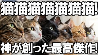 【AI MV】猫猫猫猫猫猫猫！神が創った最高傑作！